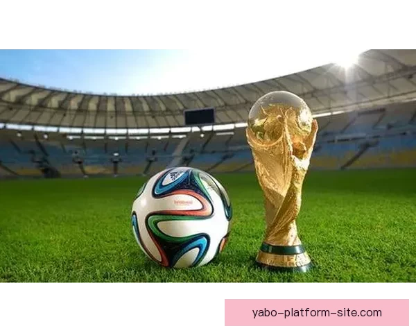 2026世界杯将在北美三国掀起足球盛宴全景解析